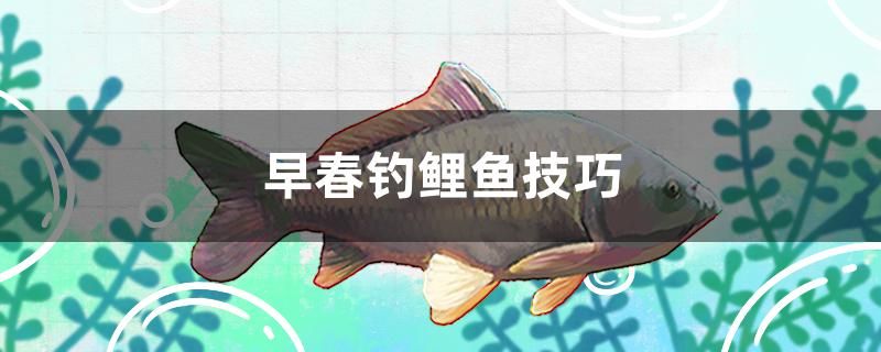 早春釣鯉魚技巧 魚缸定做