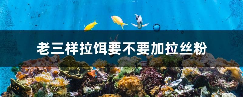 老三樣拉餌要不要加拉絲粉 泰國虎魚