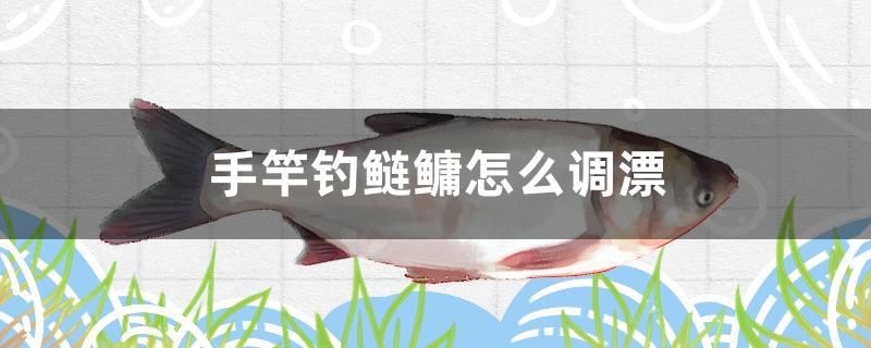 手竿釣鰱鳙怎么調(diào)漂 粗線銀版魚