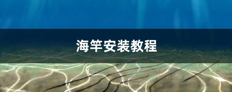 海竿安裝教程 和尚魚