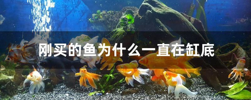 肥料簡筆畫 肥料簡筆畫簡筆畫