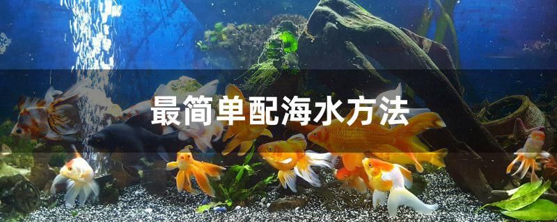 最簡單配海水方法 國產(chǎn)元寶鳳凰魚