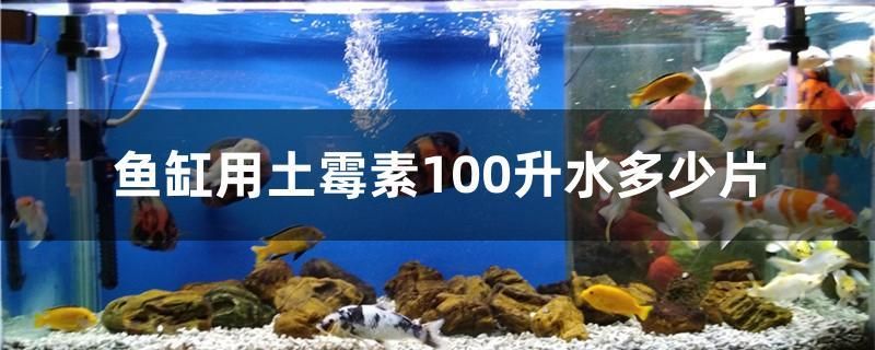 魚缸用土霉素100升水多少片