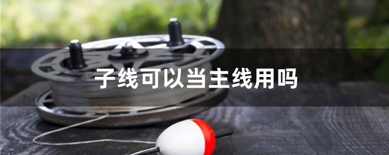 子線可以當(dāng)主線用嗎