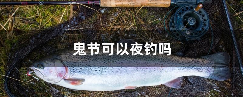 鬼節(jié)可以夜釣嗎 月光鴨嘴魚