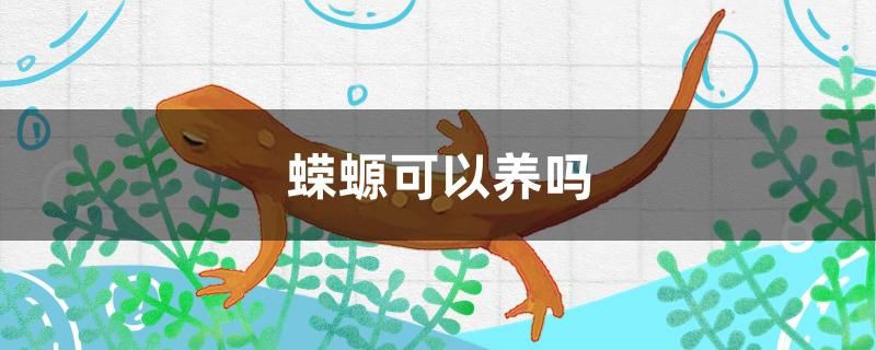 蠑螈可以養(yǎng)嗎 水族用品