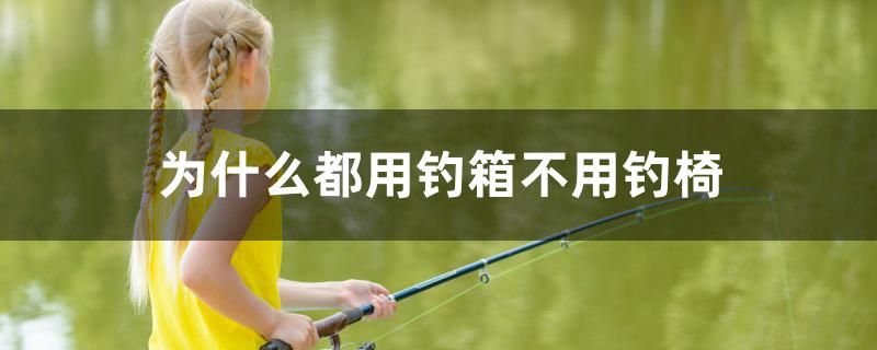 為什么都用釣箱不用釣椅 黃寬帶蝴蝶魚