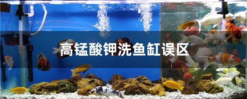 高錳酸鉀洗魚缸誤區(qū)有哪些