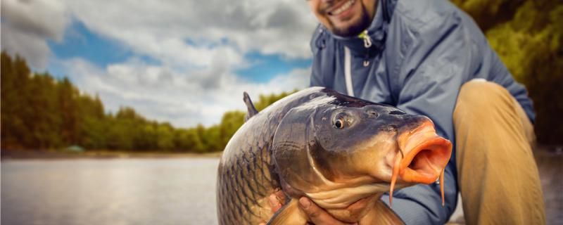 釣鯉魚用什么魚漂最好怎么調(diào)漂最好 廣州景觀設(shè)計(jì)