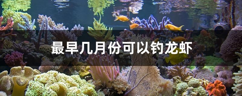 入戶門(mén)處放魚(yú)缸好嗎(入戶門(mén)處放魚(yú)缸好嗎視頻)