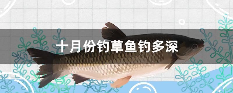 十月份釣草魚釣多深