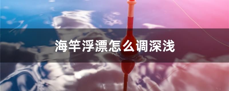 海竿浮漂怎么調(diào)深淺 祥龍魚藥系列