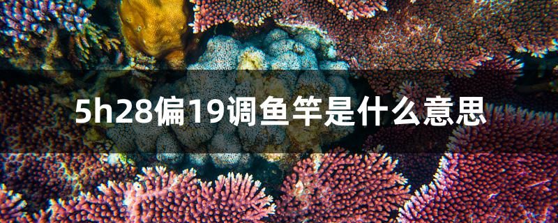 5h28偏19調(diào)魚竿是什么意思 馬來(lái)西亞燕窩