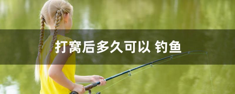 打窩后多久可以釣魚 元寶鳳凰魚專用魚糧