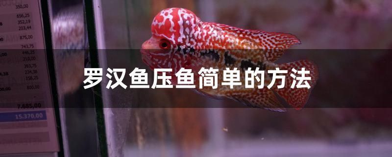 羅漢魚壓魚簡(jiǎn)單的方法