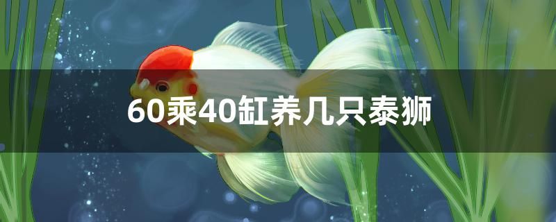 魚(yú)缸哪種品牌好一點(diǎn)（生態(tài)水族箱品牌哪個(gè)好） 狗仔招財(cái)貓魚(yú) 第1張