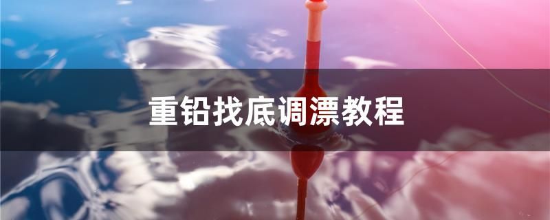 重鉛找底調(diào)漂教程 金龍魚糧