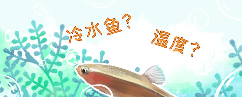 魚缸強(qiáng)度計(jì)算（魚缸強(qiáng)度計(jì)算器） 黑白雙星