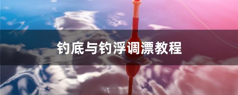 釣底與釣浮調(diào)漂教程