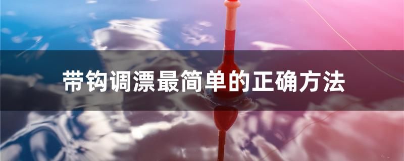 帶鉤調(diào)漂最簡單的正確方法