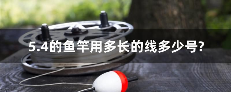 5.4的魚竿用多長的線多少號？ 廣州景觀設(shè)計