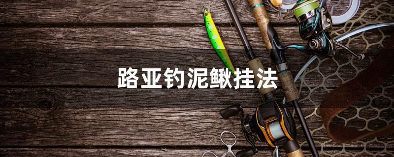 路亞釣?zāi)圉q掛法 速倍妥魚(yú)糧魚(yú)藥