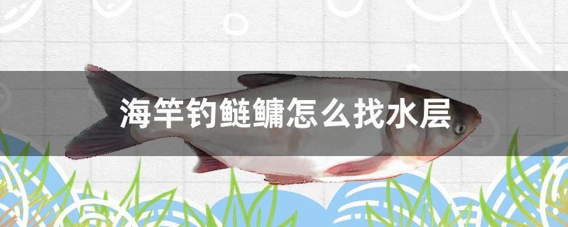 海竿釣鰱鳙怎么找水層 潛水艇魚