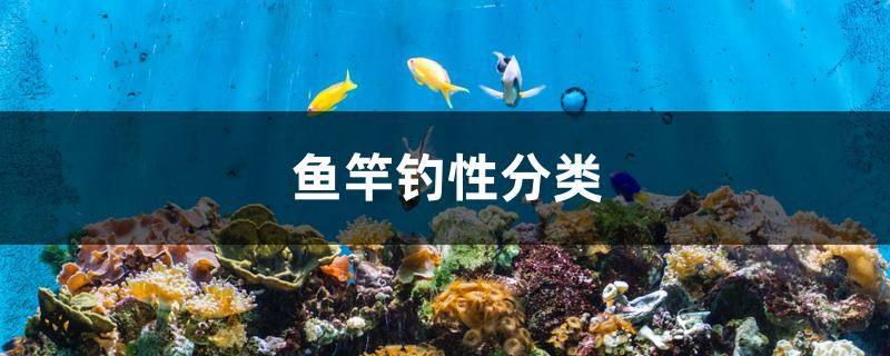 魚竿釣性分類 充氧泵