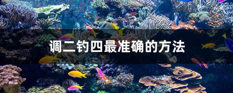 調(diào)二釣四最準(zhǔn)確的方法 黃鰭鯧魚