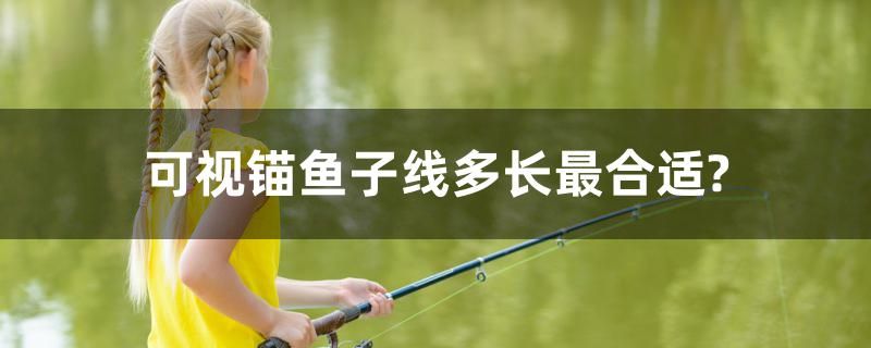 可視錨魚(yú)子線多長(zhǎng)最合適？