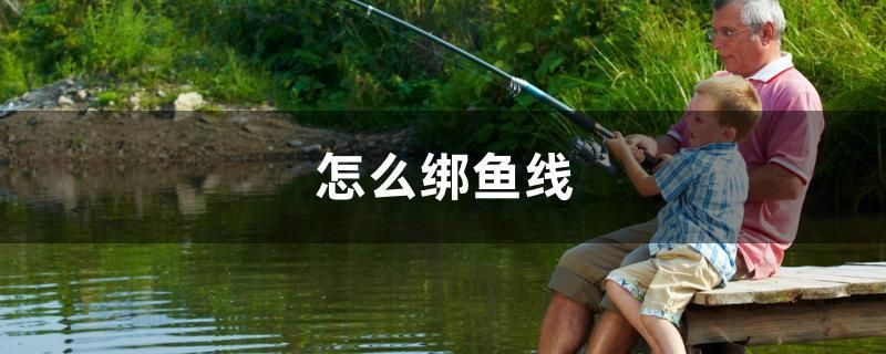 怎么綁魚線