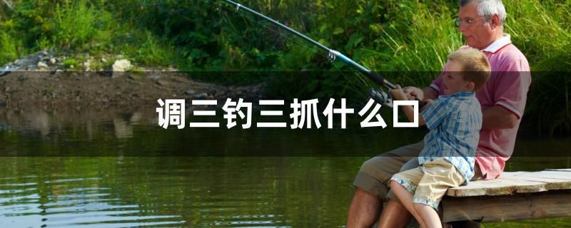 調(diào)三釣三抓什么口 粗線銀版魚(yú)