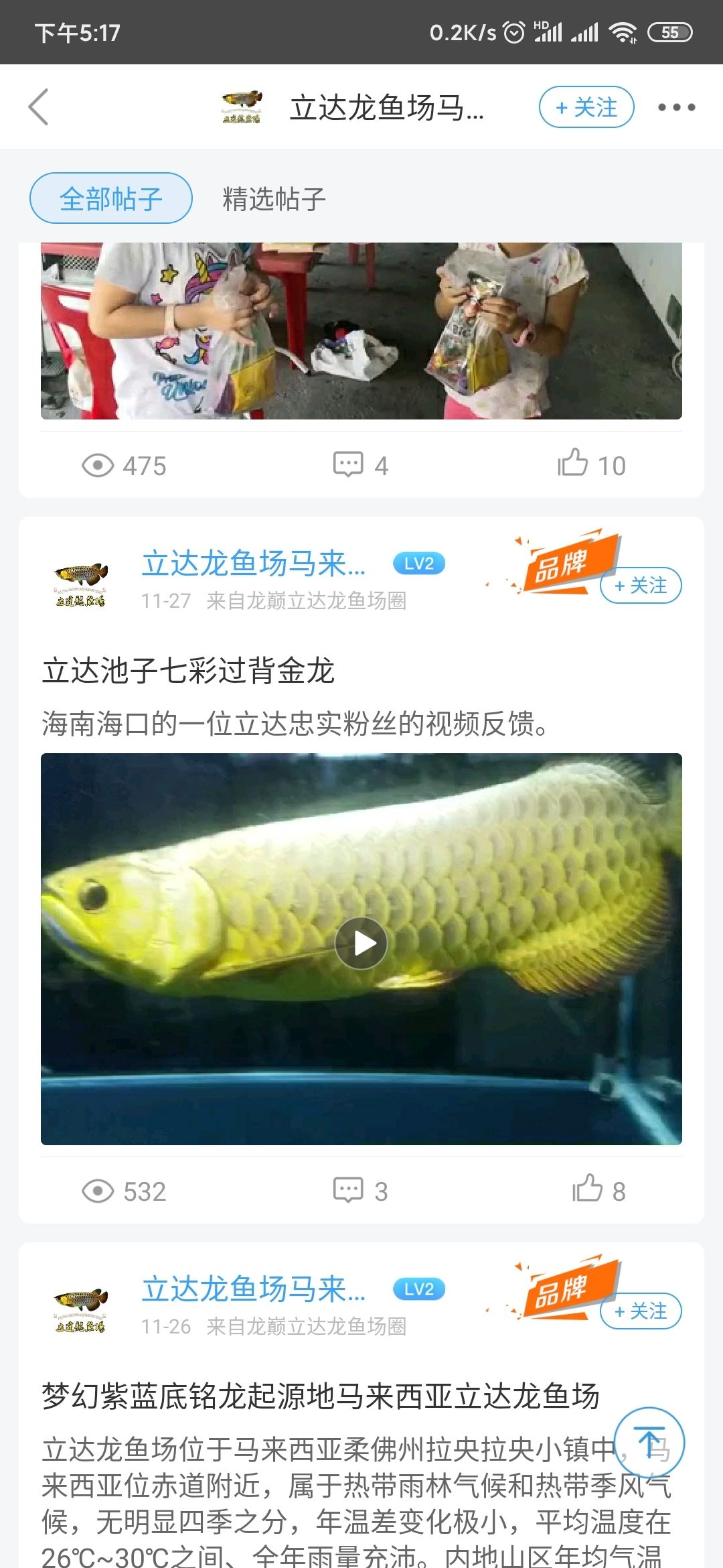 抨擊！實力打臉金星的當(dāng)家金頭竟然秒變立達(dá) 觀賞魚論壇 第1張