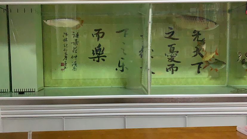 【養(yǎng)魚計(jì)劃 歡迎指正】