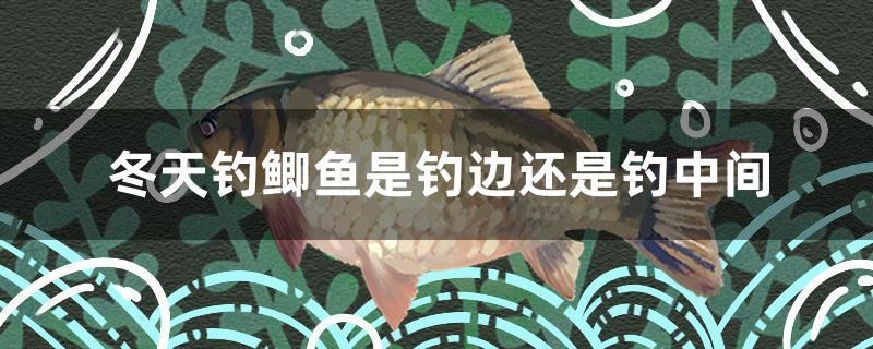 冬天釣鯽魚(yú)是釣邊還是釣中間