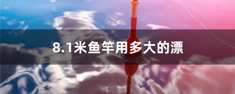 8.1米魚竿用多大的漂