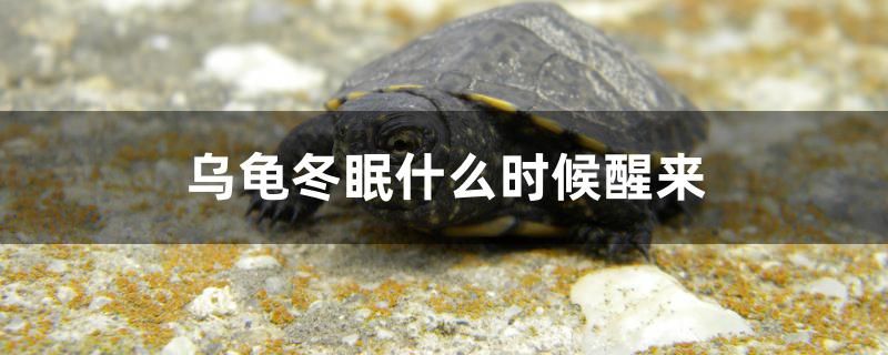 深圳二手魚缸回收電話號碼多少 深圳二手漁具