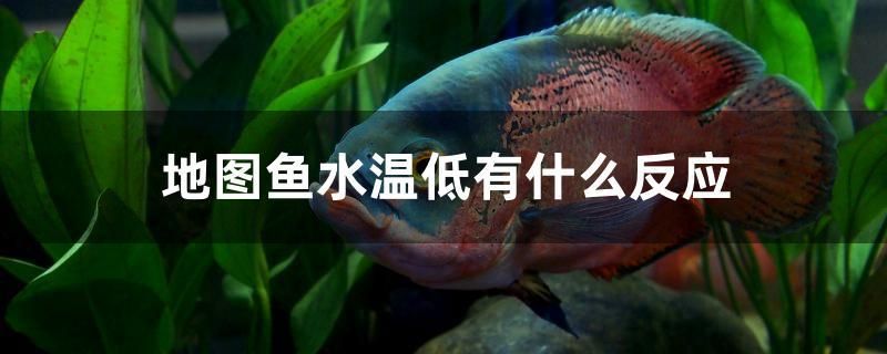 地圖魚水溫低有什么反應(yīng)