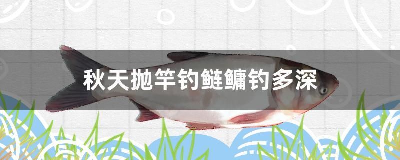 秋天拋竿釣鰱鳙釣多深 帝王血鉆魚