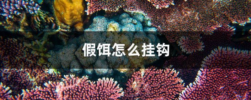 假餌怎么掛鉤 紅老虎魚