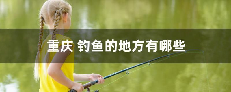 重慶釣魚的地方有哪些 黑金魟魚 第1張