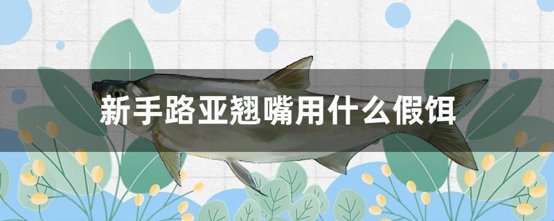 新手路亞翹嘴用什么假餌 黃金達摩魚