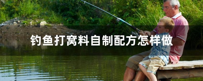 釣魚打窩料自制配方怎樣做 龍鳳鯉魚