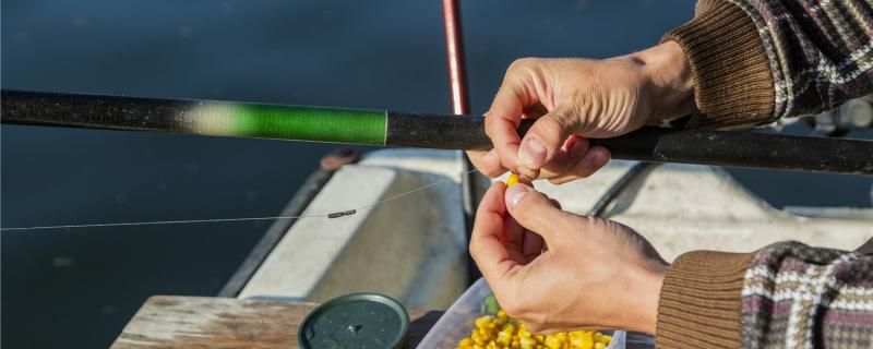 釣魚(yú)散炮餌料是什么意思制作方法是什么 三色錦鯉魚(yú)