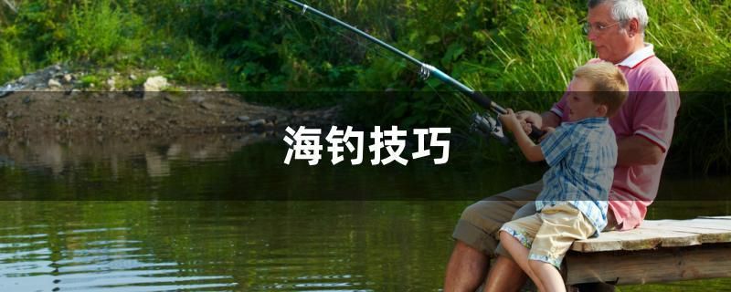 玻璃魚缸能用幾年壽命(玻璃魚缸能用幾年壽命嗎) 黃金斑馬魚 第2張