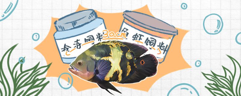 地圖魚喂什么飼料可以喂雞肉嗎 黑云魚