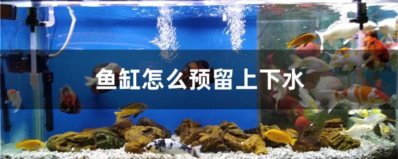 魚缸怎么預(yù)留上下水