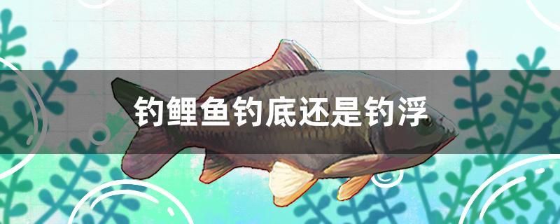 釣鯉魚釣底還是釣浮 森森魚缸