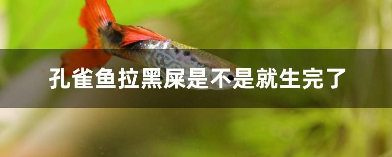 孔雀魚拉黑屎是不是就生完了