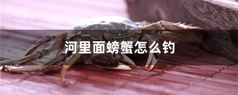 河里面螃蟹怎么釣